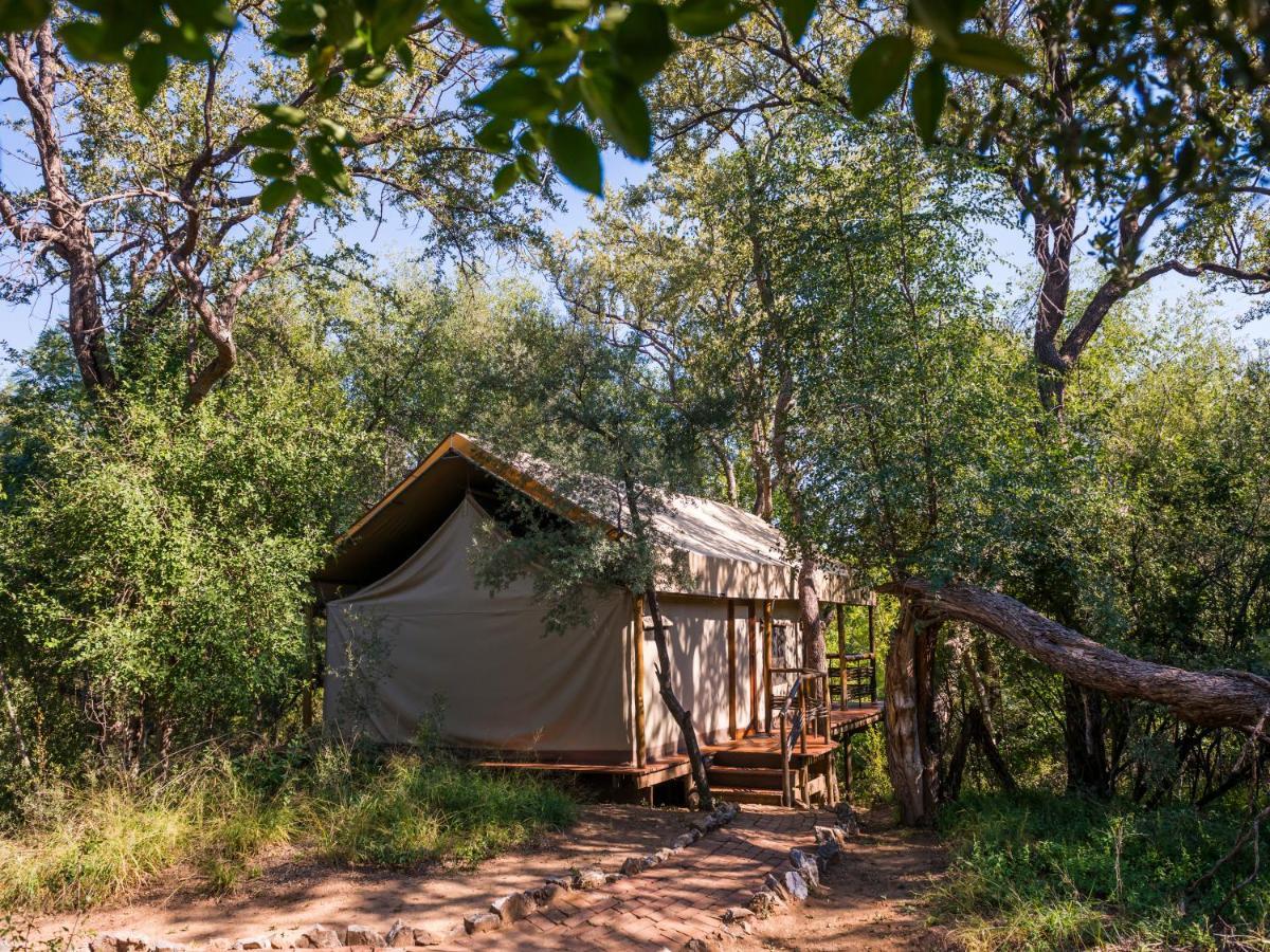 Aha Thakadu River Camp Madikwe Vadrezervátum Kültér fotó